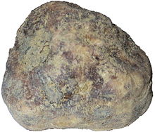 Ungereinigte Trueffel